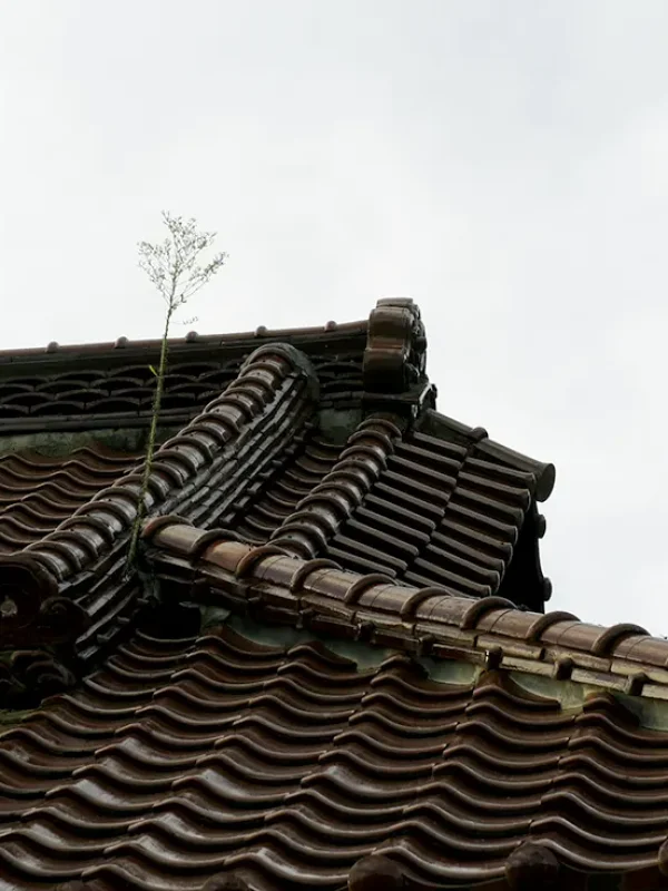 koe-kominka-roof