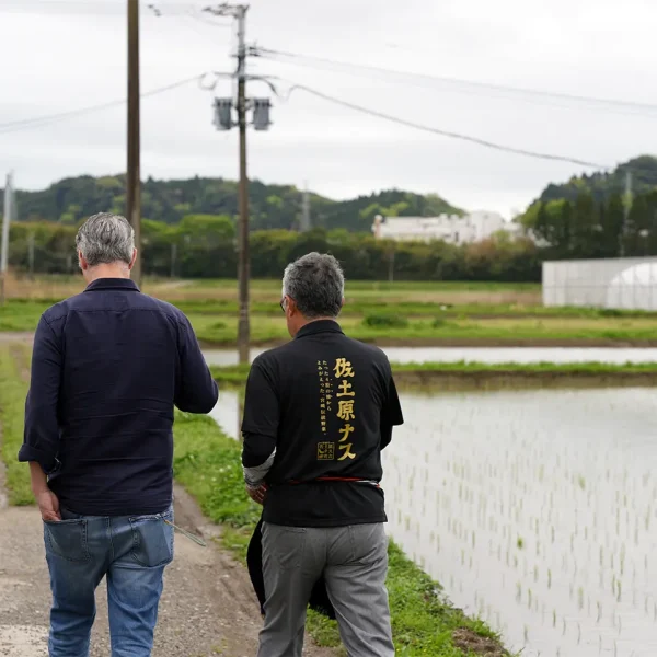 koe_miyazaki_field_countryside