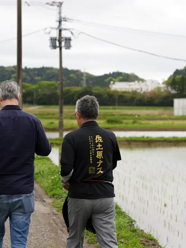 koe_miyazaki_field_countryside